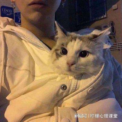 天下道正式版下载